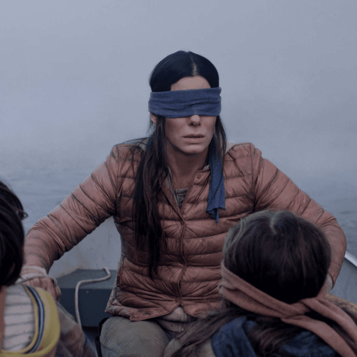 Bird Box Blindfolded Sandra Bullock