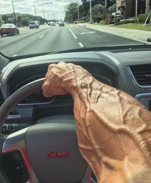 Chad Driver Meme Template