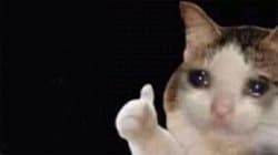 Crying Cat Thumbs Up