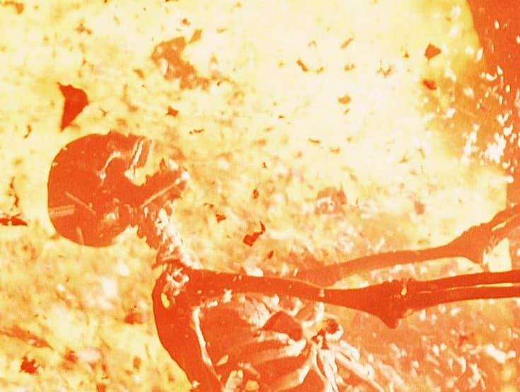 Fire skeleton meme template image.
