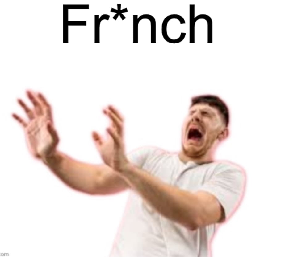 Frnch meme template image.