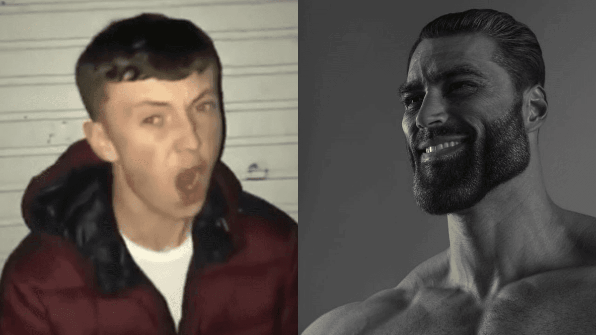 Average Fan Vs Average Enjoyer