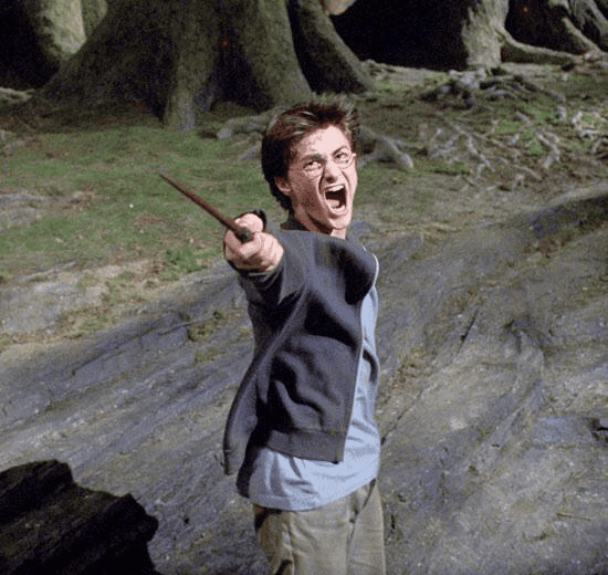 Harry Potter Pointing