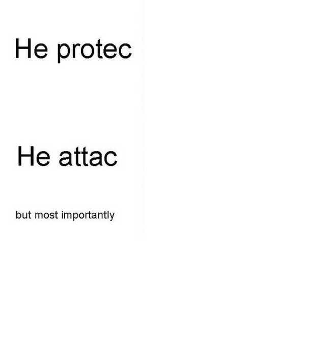 He protec he attac but most importantly meme template image.