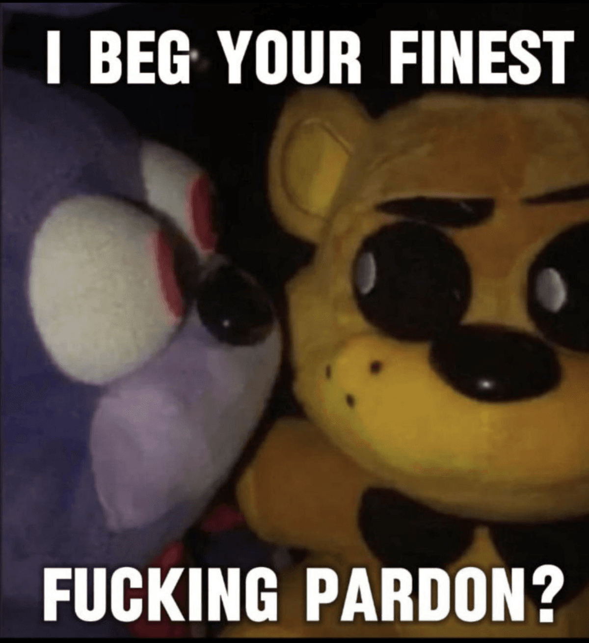 I beg your finest pardon meme template image.