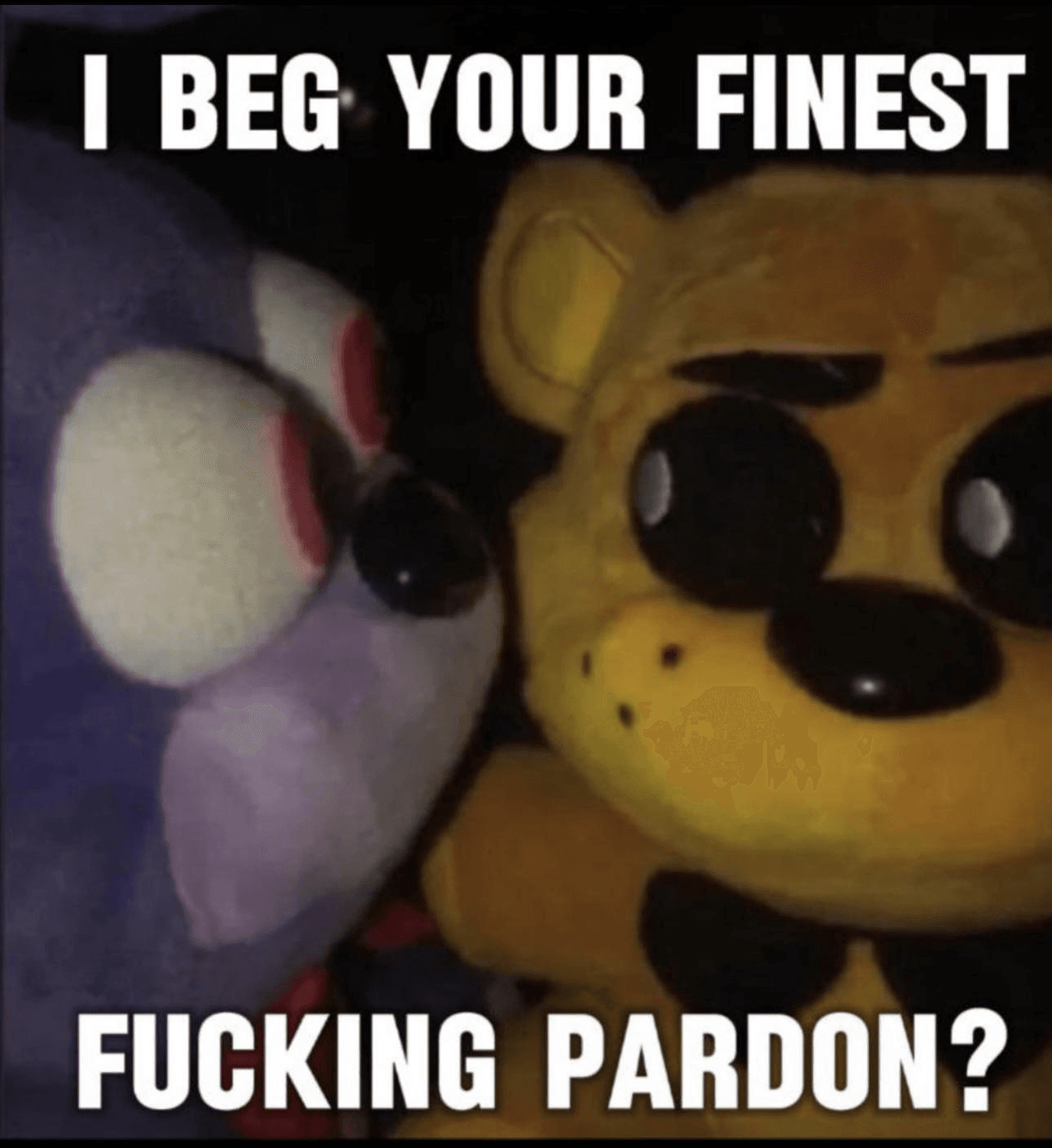 I beg your finest pardon meme template image.