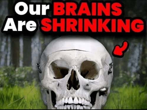 Our Brains Are Shrinking meme template image.