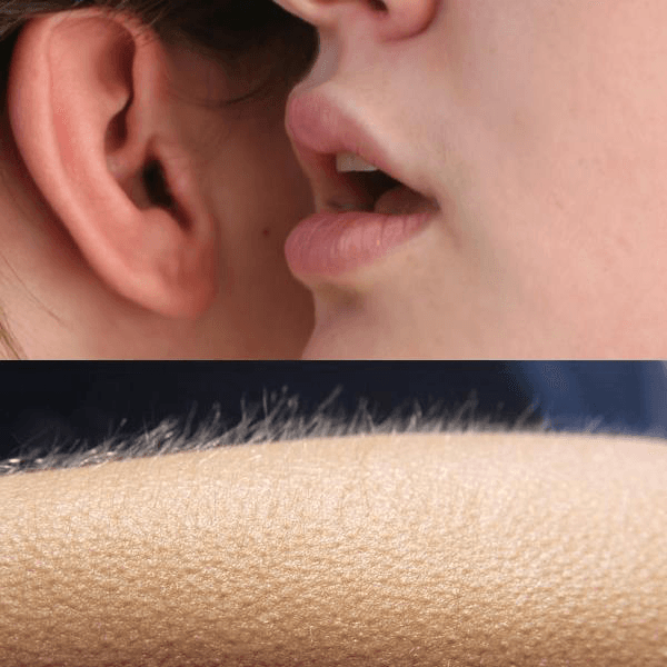 Whisper And Goosebumps