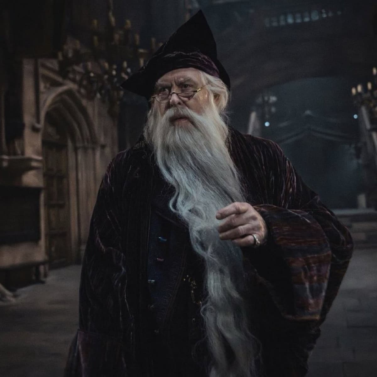 Albus Dumbledore Serious Portrait