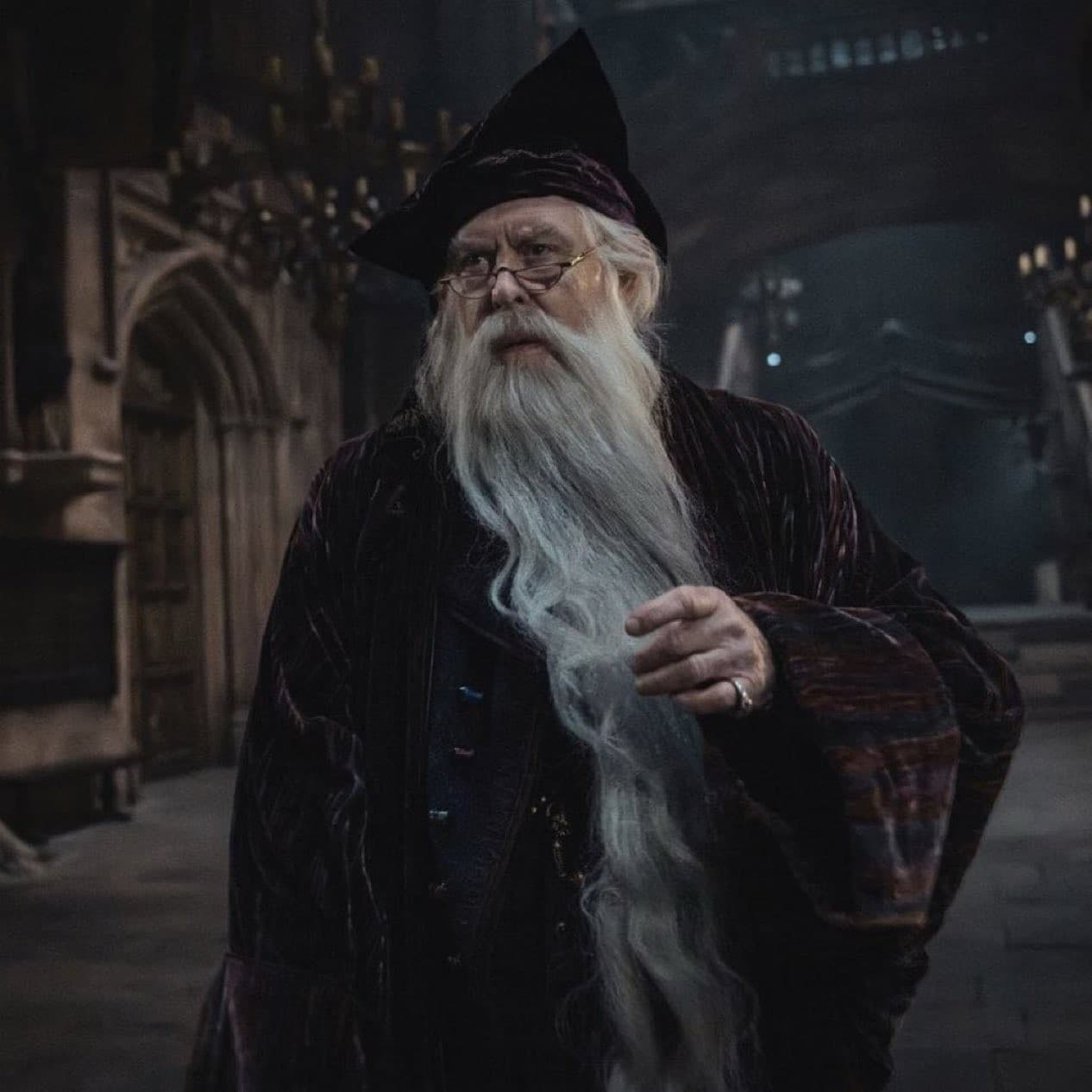 An elderly white-bearded wizard wearing glasses, a pointed black hat, and dark robes stands in a dim gothic hall while holding part of his long beard.