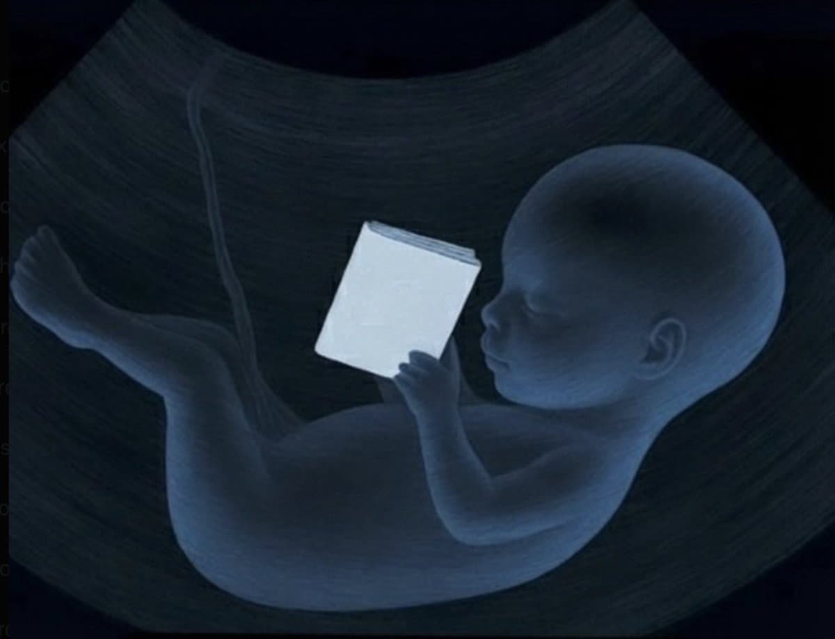 Fetus Reading A Book Meme Template