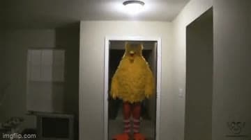 Big Bird Kicks Down a Door