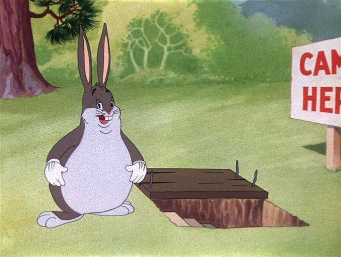A portly cartoon Bugs Bunny stands beside a covered rabbit hole in a forest; a partially visible sign at right says “CAMP HERE.”