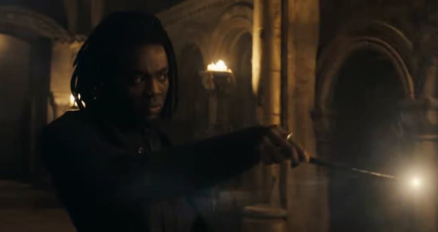 Black Snape With Dreadlocks