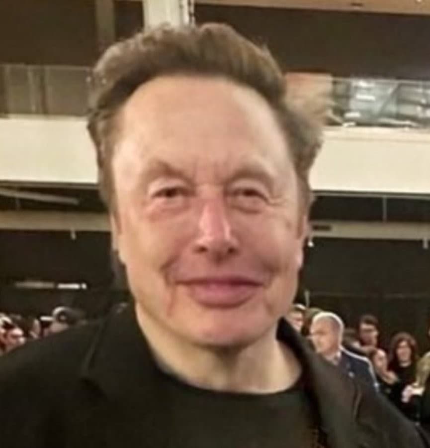 Bogged Elon Musk