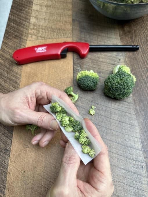 Broccoli Joint Via Bryan Johnson Meme Template