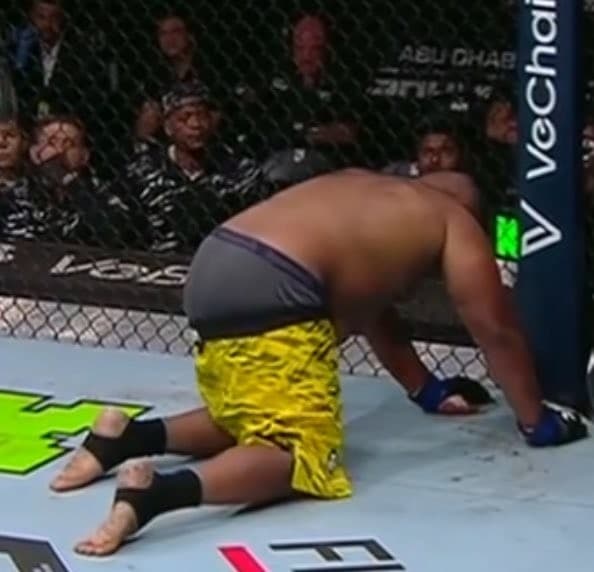 Chris Barnett wardrobe malfunction / down bad UFC 321