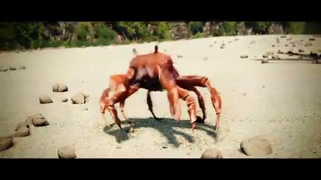 Dancing Crab Reaction