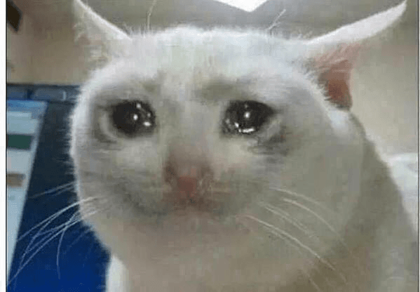 Crying Cat Meme Template