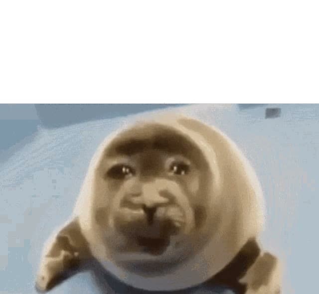 Crying Seal