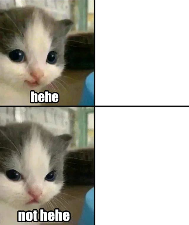 Cute Cat Hehe and Not Hehe