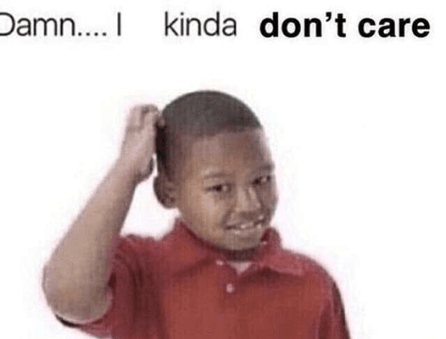 Damn I Kinda Dont Care meme template image.