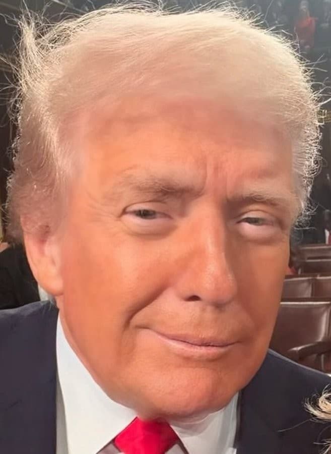 Donald Trump smirk selfie