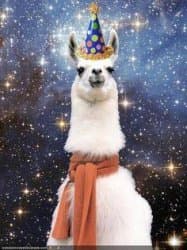Drama Llama
