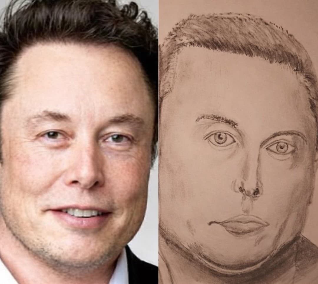 Elon Musk vs Melon Musk