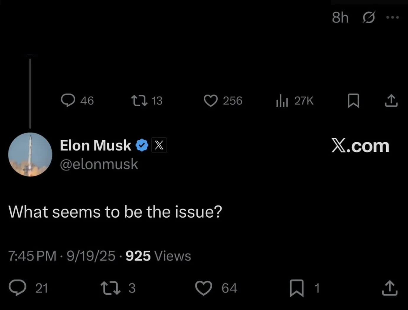 Elon what seems to be the problem? meme template