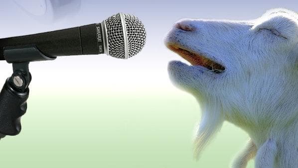 A white goat with its mouth open faces a black handheld microphone against a pale blue and green background.