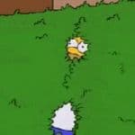 Homer Bushes