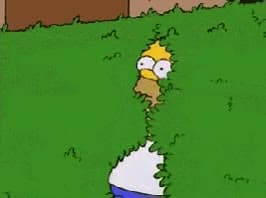 Homer Disappears Into Bush