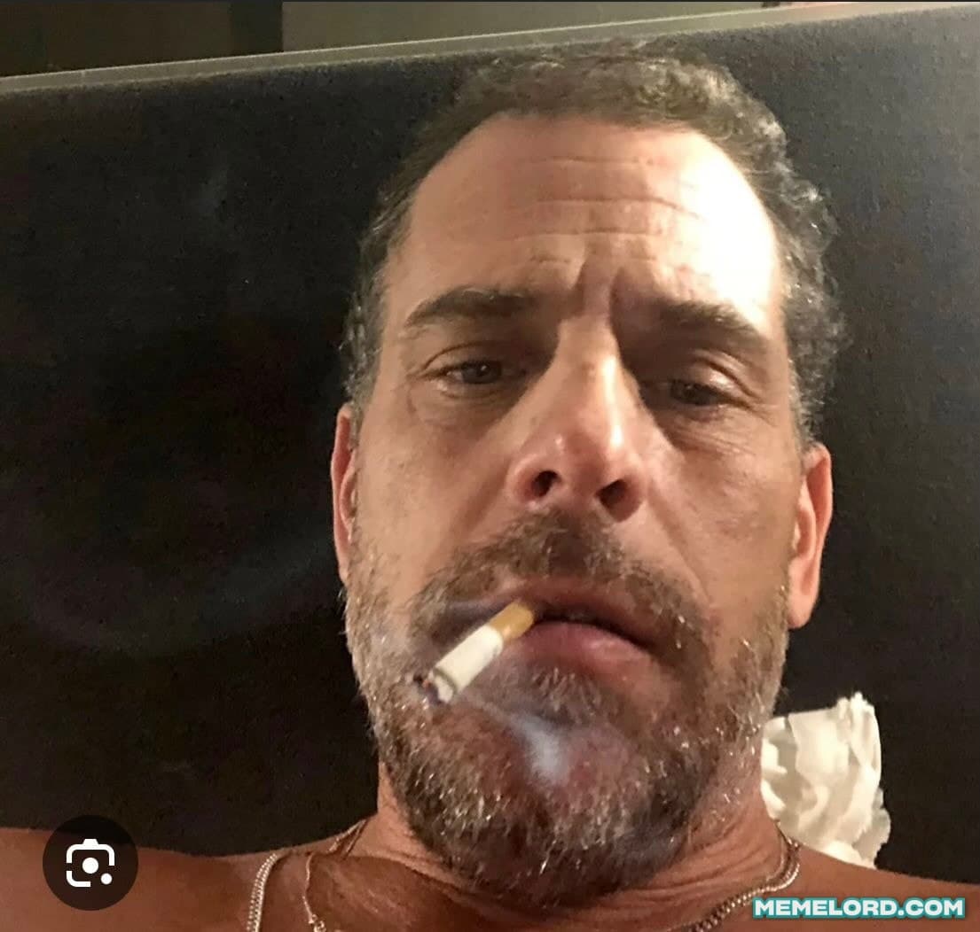 Hunter Biden looking at you meme template