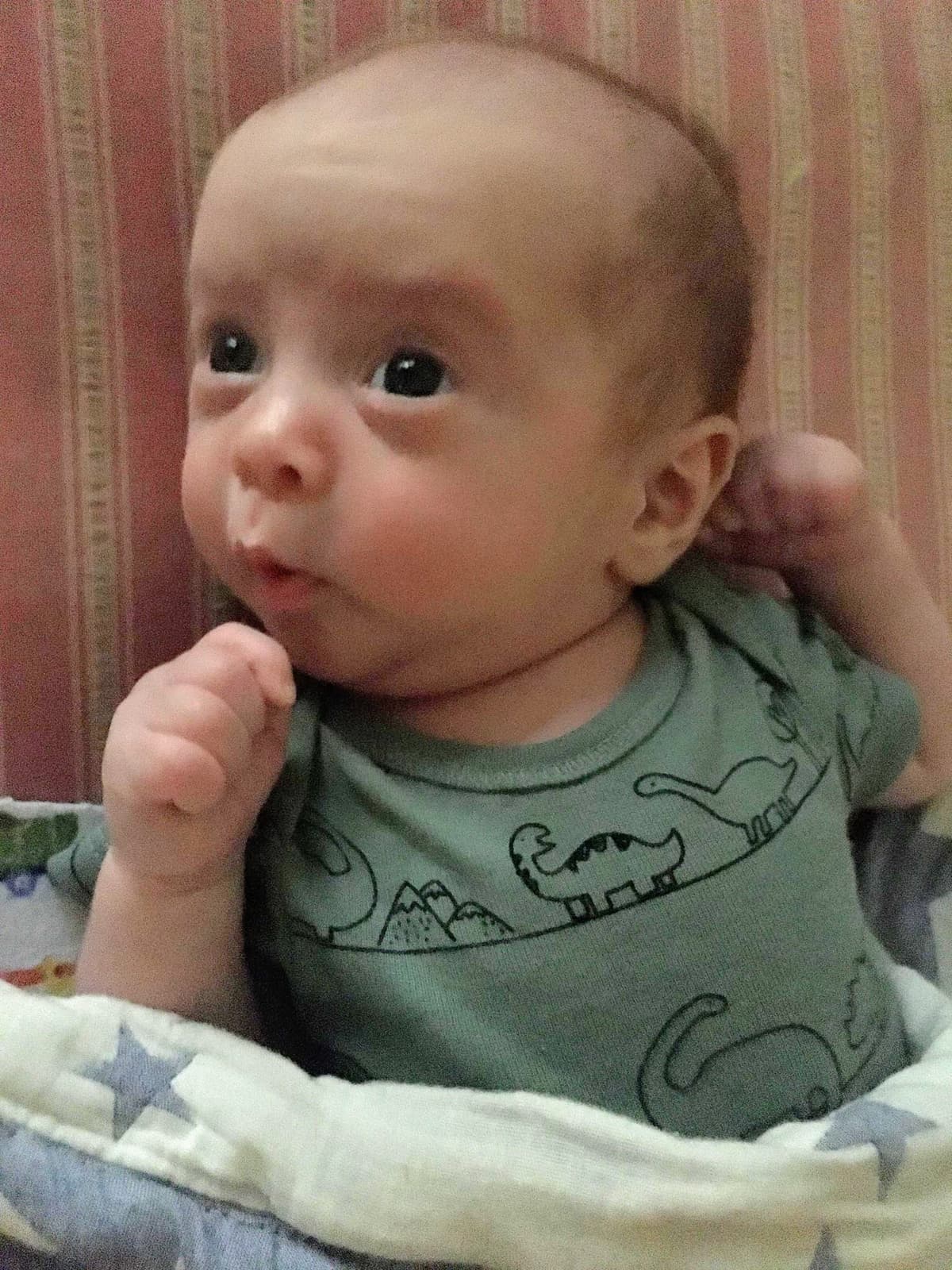Intrigued Baby