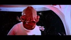 Admiral Ackbar from Star Wars in his Mon Calamari uniform, mouth open mid-shout, in the scene where he warns "It's a trap!"