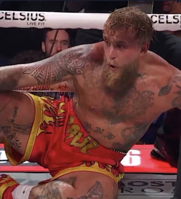 Jake Paul shocked expression after KO