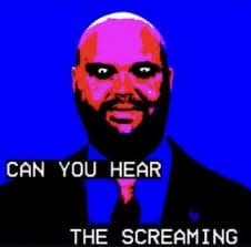 JD Vance can you hear the screaming meme template
