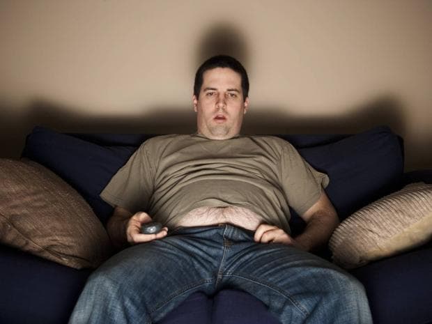 lazy fat guy on the couch meme template image.