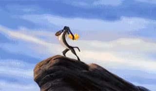 Lion King Yeet