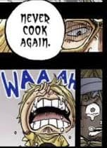 never cook again meme template image.