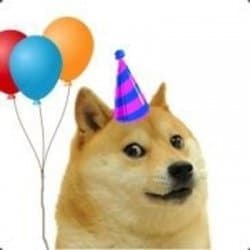 Party Dog