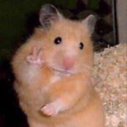 Peace Sign Hamster