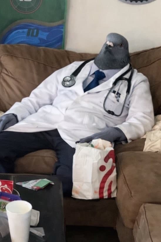 Pigeon Doctor sitting on a couch