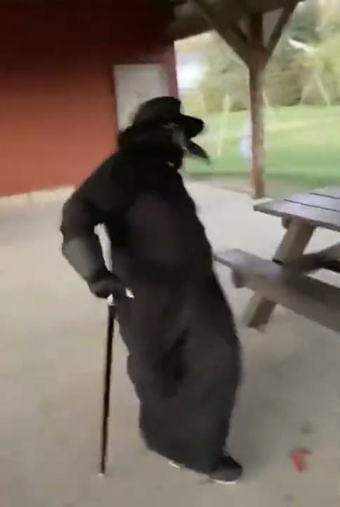 Plague Doctor Gangsta's Paradise