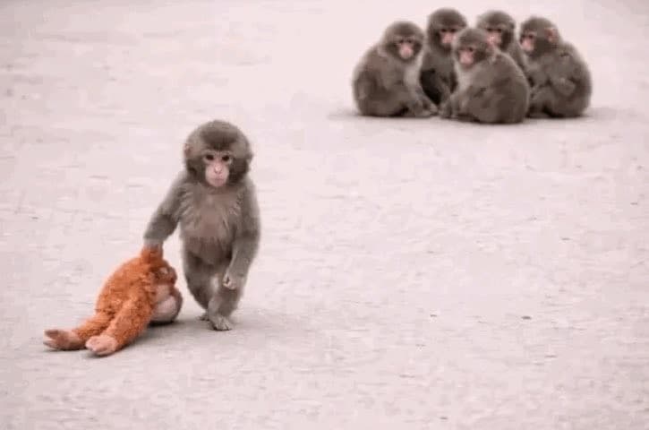 Punch with Plushie leaving his group