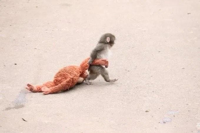 Punch with Plushie