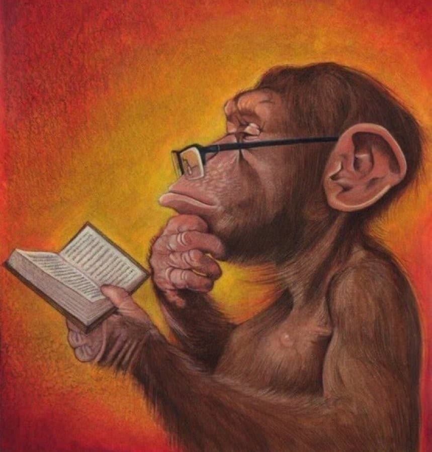 Reading Monkey meme template