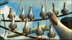Seagulls Mine