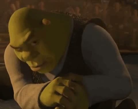 Shrek Rizz